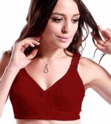 Flourish Disclosure Bra